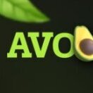 avo576575